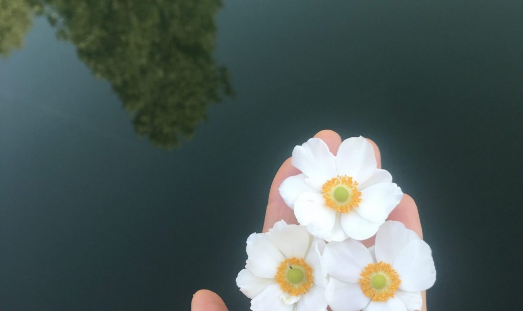 Se ressourcer Apaiser